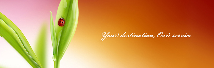 Your destination, our service